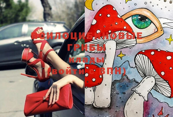 мдпв Балахна