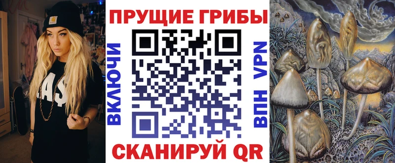 Галлюциногенные грибы прущие грибы  Кущёвская 